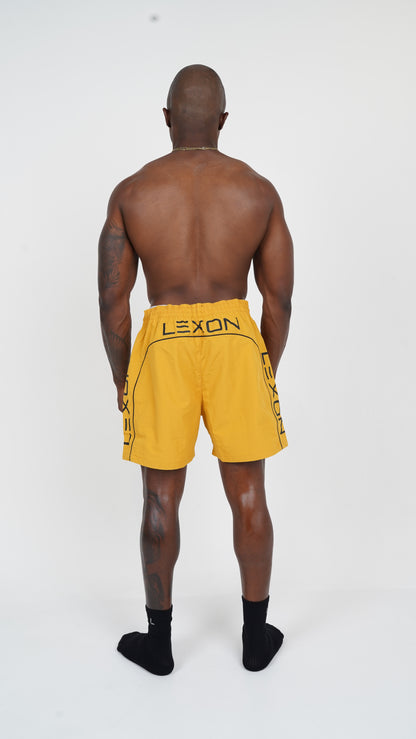 nylon Shorts