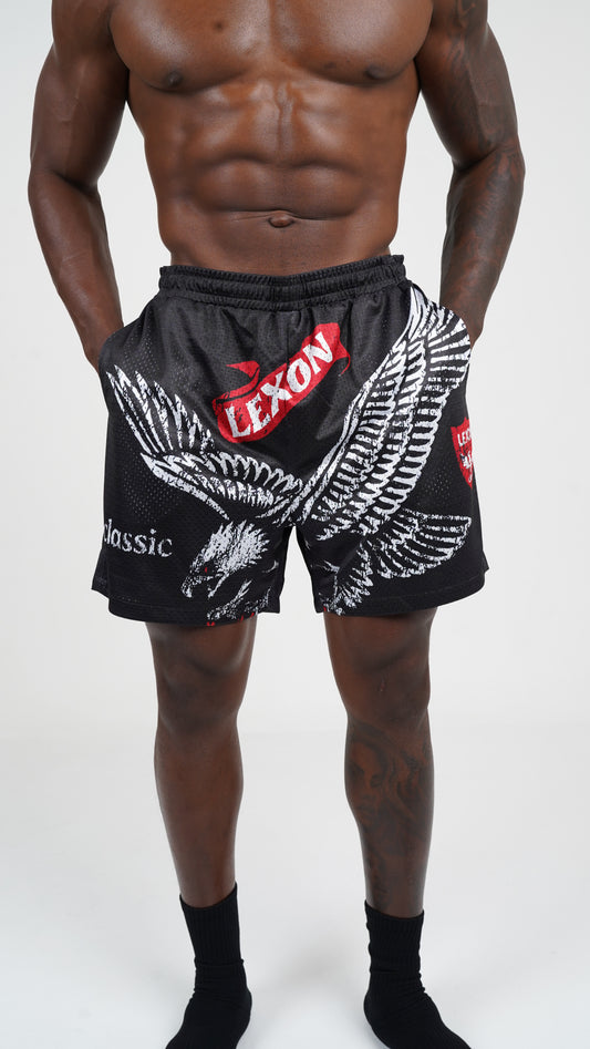 mesh shorts
